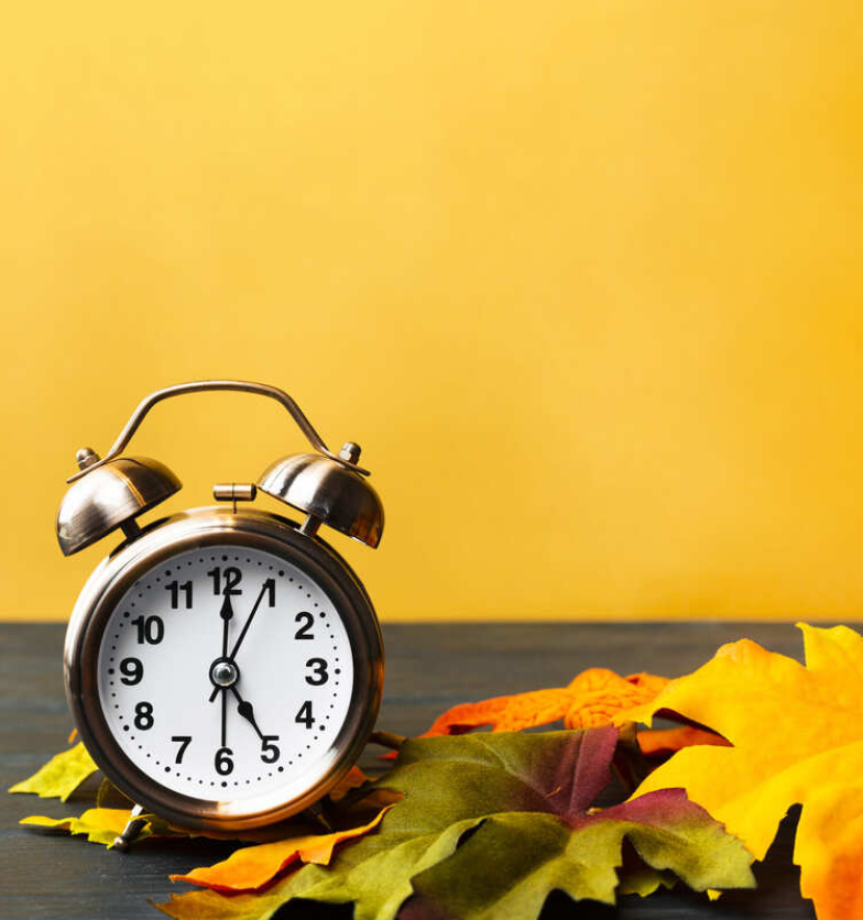 front-view-autumn-decoration-wit